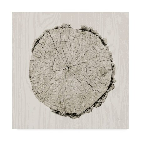 Trademark Fine Art